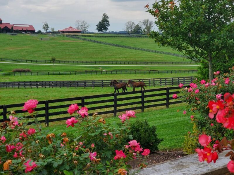 From Lexington: Kentucky Horse Farms Tour - Final Thoughts