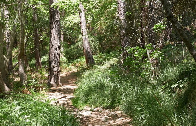 From Limassol: Grand Tour Jeep Safari - What the Reviews Say