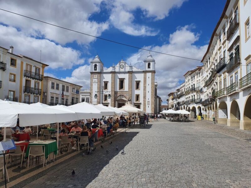 From Lisboa: Evora and Monsaraz Full-Day Tour - What to Expect from the Tour