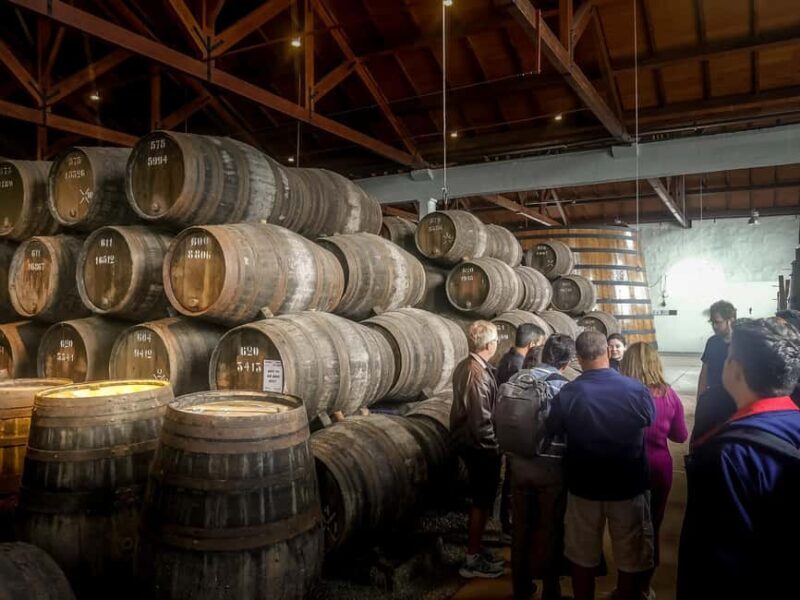 from Lisbon: 2-days private tour to Porto and Douro Valley - Final Thoughts