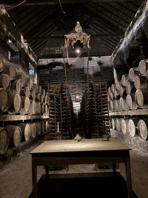 From Lisbon: Amazing Full-Day Tour with Horse Riding on the Beach - Final Thoughts