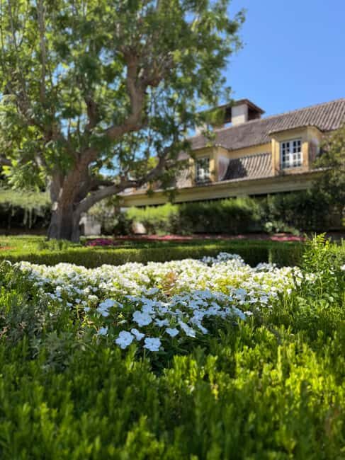 From Lisbon: Amazing Horseback Ride, Tasting, Estates, and Cristo Rei - The Experience in Perspective