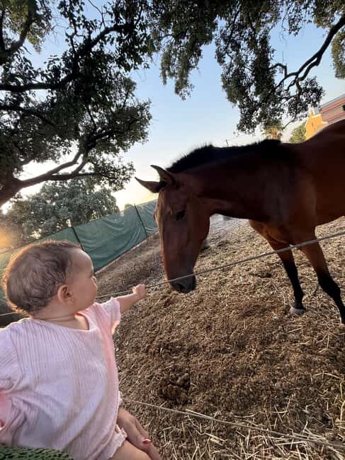 From Lisbon: Amazing Horseback Ride, Tasting, Estates, and Cristo Rei - Final Thoughts