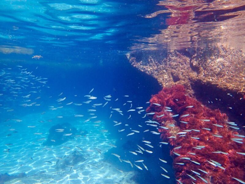 From Lisbon: Arrábida Natural Park Kayak Tour with Lunch - Final Thoughts