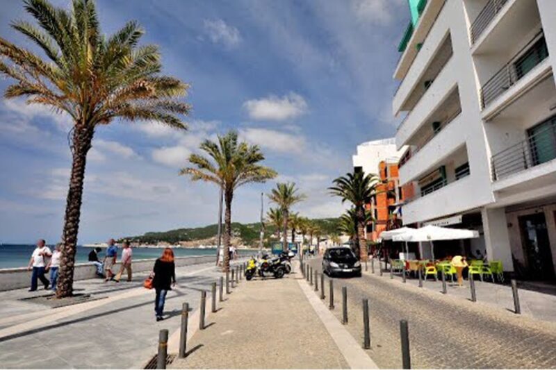 From Lisbon: Arrabida Private Full-Day Wine Excursion - FAQs