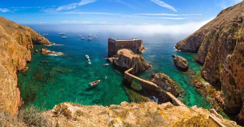 From Lisbon: Berlenga Grande Island Private Tour - What Travelers Are Saying
