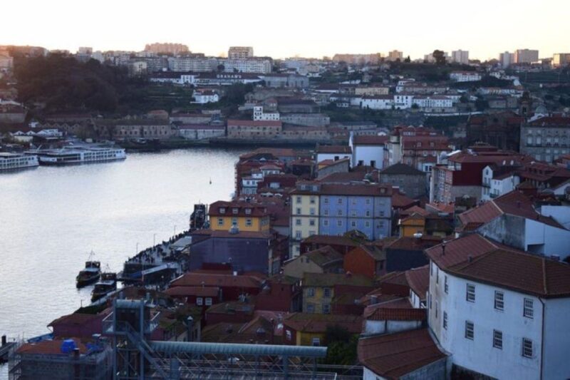 From Lisbon: Douro Valley and Porto Town Experience - Exploring the Itinerary: What You’ll Experience
