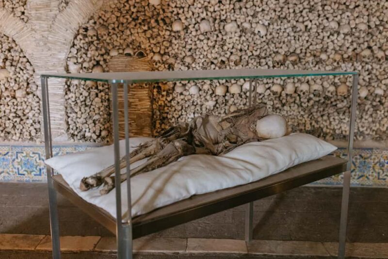 From Lisbon: Évora and Monsaraz with Alentejo Wine Tasting - Who Should Consider This Tour?