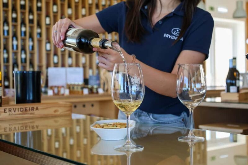 From Lisbon: Évora, Chapel of Bones & Alentejo Wine Tour - Final Thoughts