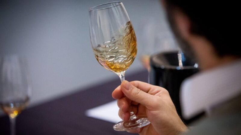 From Lisbon: Évora Tour with Wine Tasting included - Deep Dive into Évora’s Past