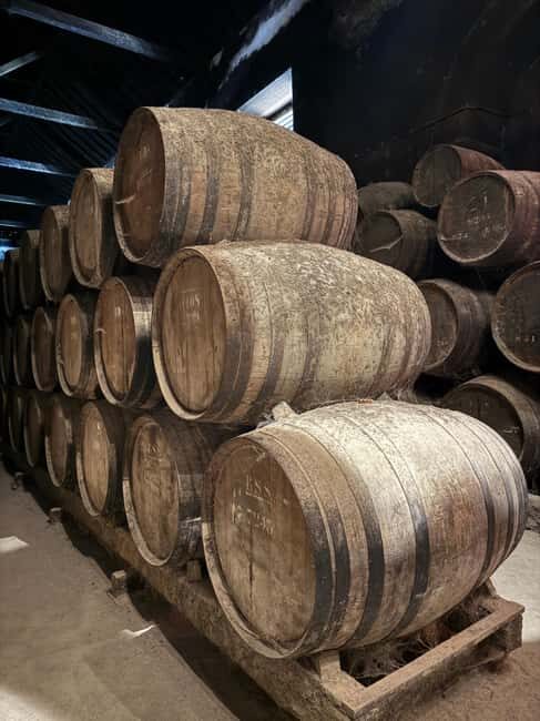 From Lisbon: Great visit to wineries, estates, palace, and wine tasting - What to Expect on This Lisbon Wine Tour