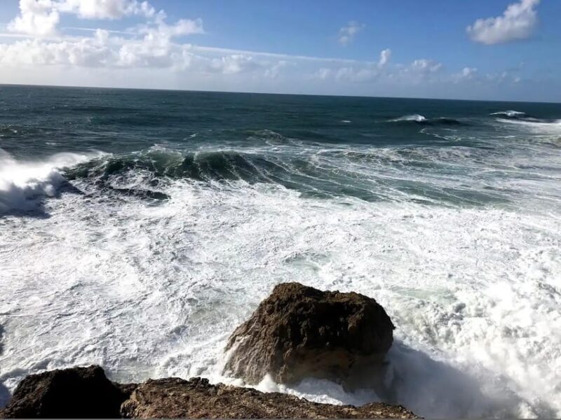 From Lisbon: Guided tour of Fátima, Nazaré and Óbidos - Final thoughts