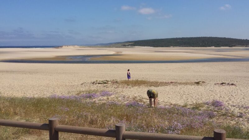 From Lisbon: Half-Day Arrábida Tour w/ Transfers - What We Think About the Value