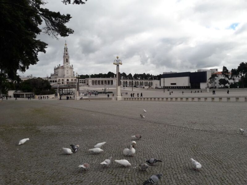 From Lisbon: Half-Day Fátima PRIVATE Tour - Key Points