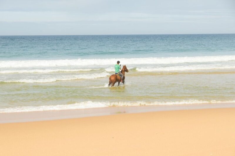 From Lisbon: Horseback Riding on Comporta Beach - An Honest Breakdown of the Experience