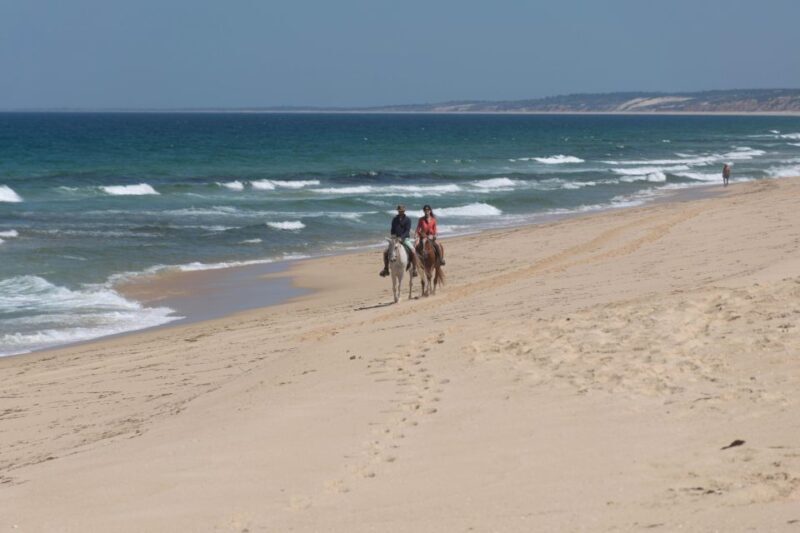 From Lisbon: Horseback Riding on Comporta Beach - FAQ