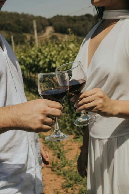 From Lisbon: Jeep Adventure + Wine Tasting + Tapas + Pick up - Key Points