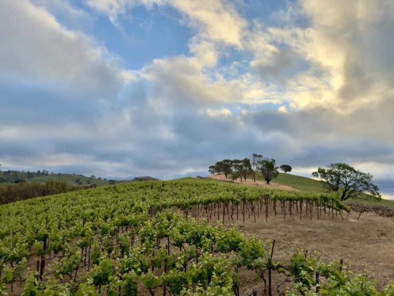 From Lisbon: Jeep Adventure + Wine Tasting + Tapas + Pick up - Who Should Consider This Tour?