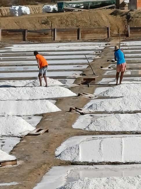 From Lisbon: Lagos Day Trip with Silves Stop - Key Points