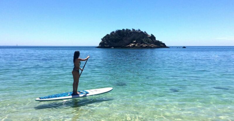 From Lisbon: Nature Park of Arrábida Paddleboarding - What to Expect on This Paddleboarding Adventure
