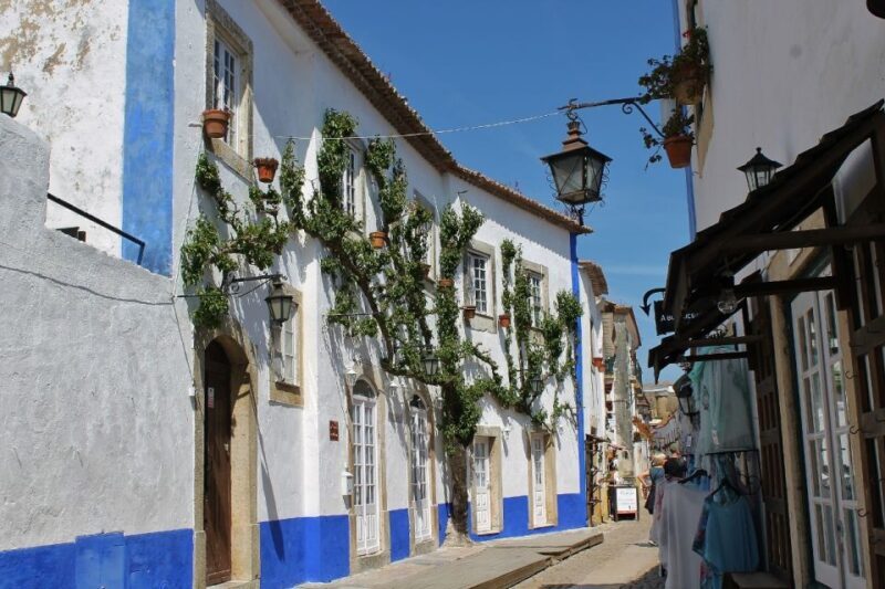 From Lisbon: Óbidos and Mafra Palace Private Tour - Experience Reviews: What Travelers Say