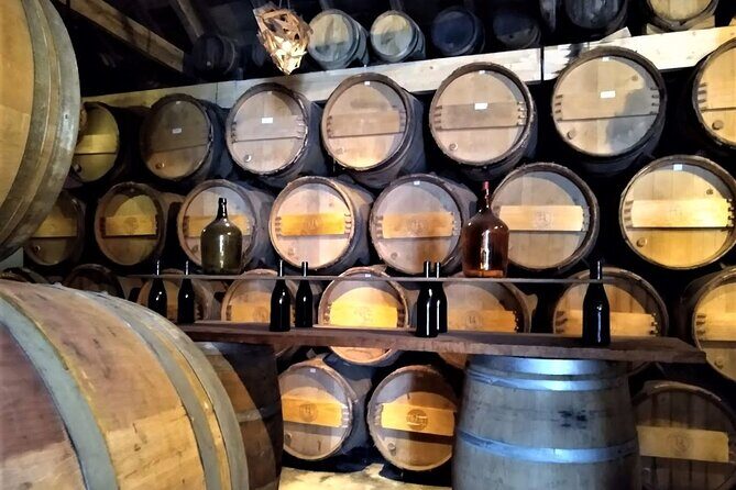 From Lisbon: Palmela-Setúbal Wine Tasting Tour (40kms of Lisbon) - An Honest Look at the Palmela-Setúbal Wine Tour