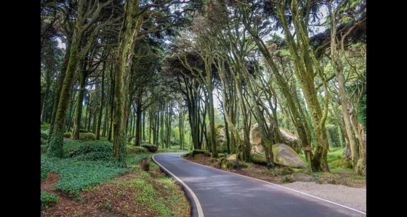 From Lisbon: Pena, Regaleira, Peninha, Adraga & Coastline - Key Points