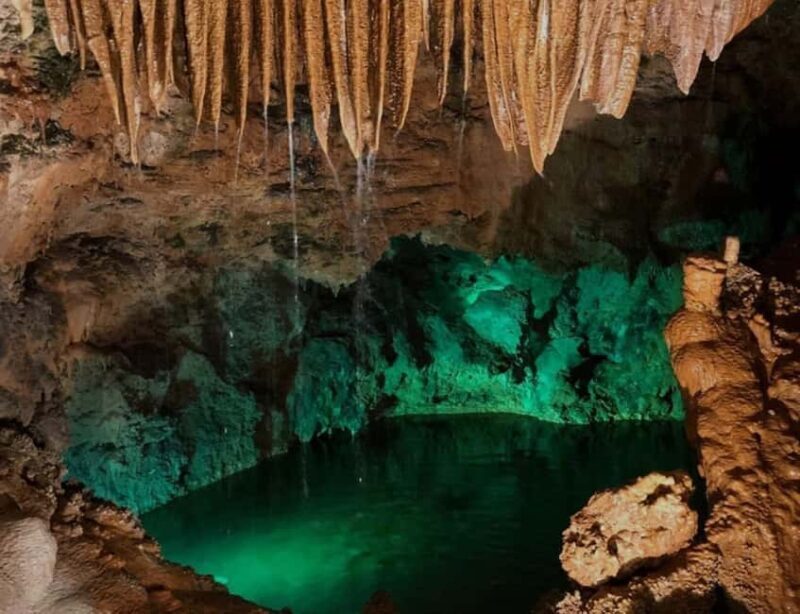 From Lisbon: Private Car Tour to Fátima and Mira de Aires - The Spirit of Fátima: Sanctuary and Surroundings