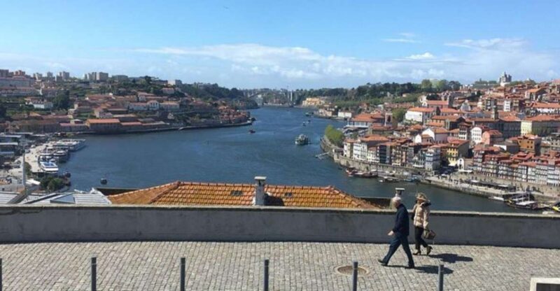From Lisbon: Private Porto Sightseeing Tour - Exploring Porto with a Private Touch