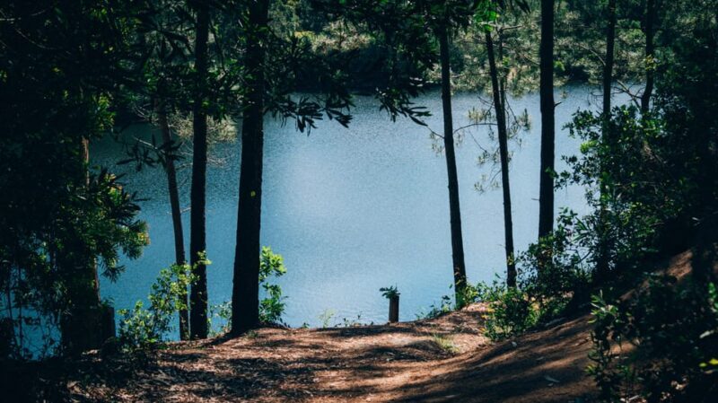 From Lisbon: Private Sintra Tour with a Local Guide - Wrapping It Up