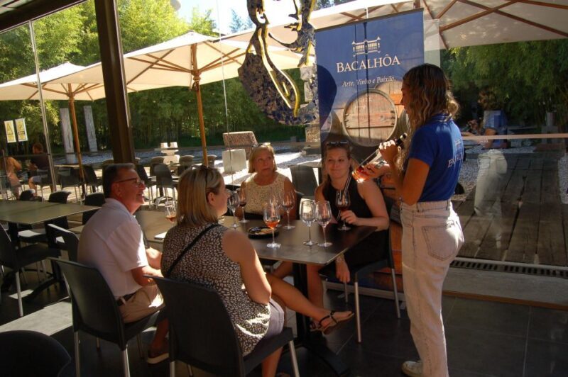 From Lisbon: Private Wine Tour with Wine & Cheese Tasting - An Honest Look at the Private Lisbon Region Wine & Cheese Tour