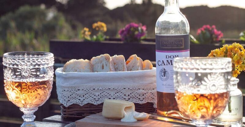 From Lisbon: Private Wine Tour with Wine & Cheese Tasting - Practical Details & Value