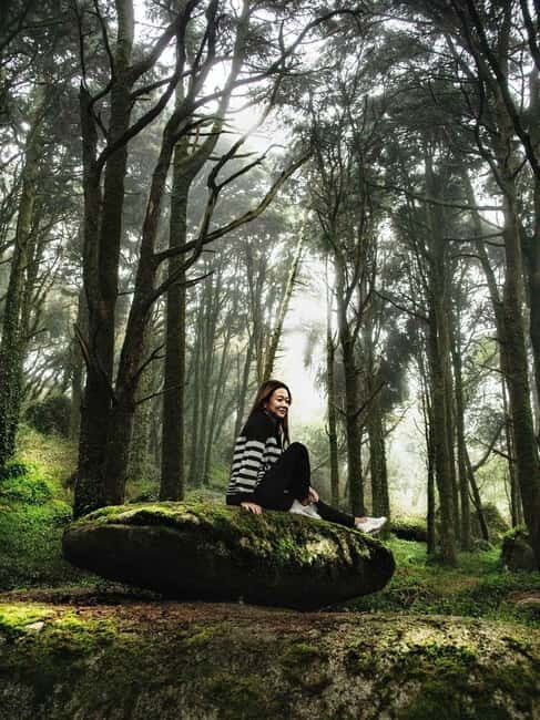 From Lisbon - Regaleira, Cabo da Roca, Forest & True Sintra - FAQ