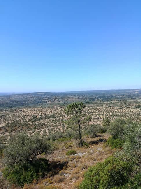 From Lisbon: Rio Maior, Mira de Aire, and Fátima Tour - Who Will Enjoy This Tour?