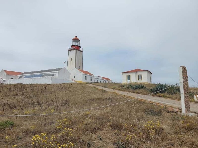 From Lisbon : Round trip to Peniche, Berlengas. - Marine Life and Water Activities