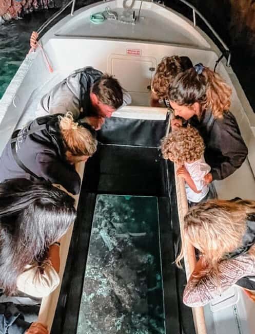 From Lisbon : Round trip to Peniche, Berlengas. - The Value of This Tour