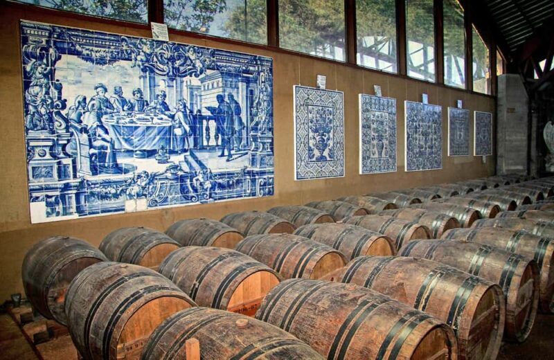 From Lisbon: Serra da Arrábida, Sesimbra, and Setúbal Wines - Who Should Consider This Tour?