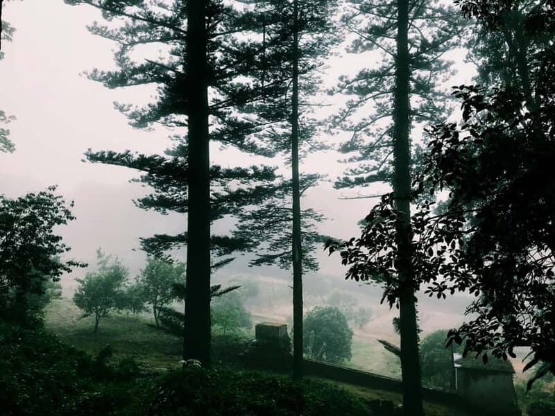 From Lisbon: Shared Sintra Tour with a Local Guide - Key Points