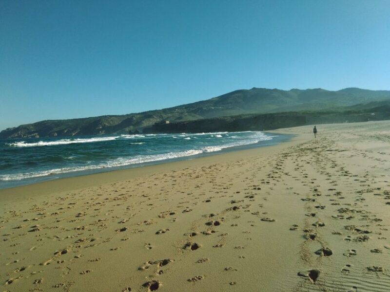 From Lisbon: Sintra and Cascais Natural Park Private Tour - The Practicalities: Transportation, Timing, and Cost