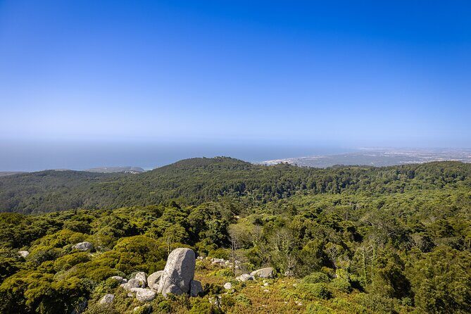 From Lisbon: Sintra, Pena Palace and Regaleira - Things to Consider