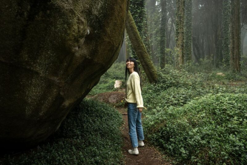 From Lisbon: Sintra, Pena Palace & Cabo da Roca Hiking Tour - Who This Tour Is Best For