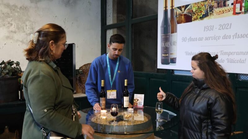 From Lisbon: Sintra, Pena Palace, Cascais and Wine Tasting - The Return Journey and Overall Experience