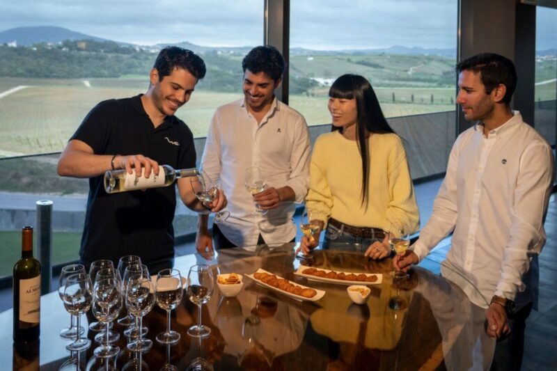 From Lisbon: Sintra & Pena Palace Day Trip with Wine Tasting - Final Thoughts