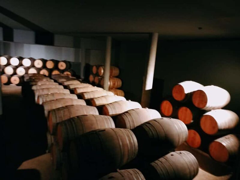 From Lisbon to Douro Valley with Stops up to 4 Cities - An Honest Look at the Route and What You Can Expect