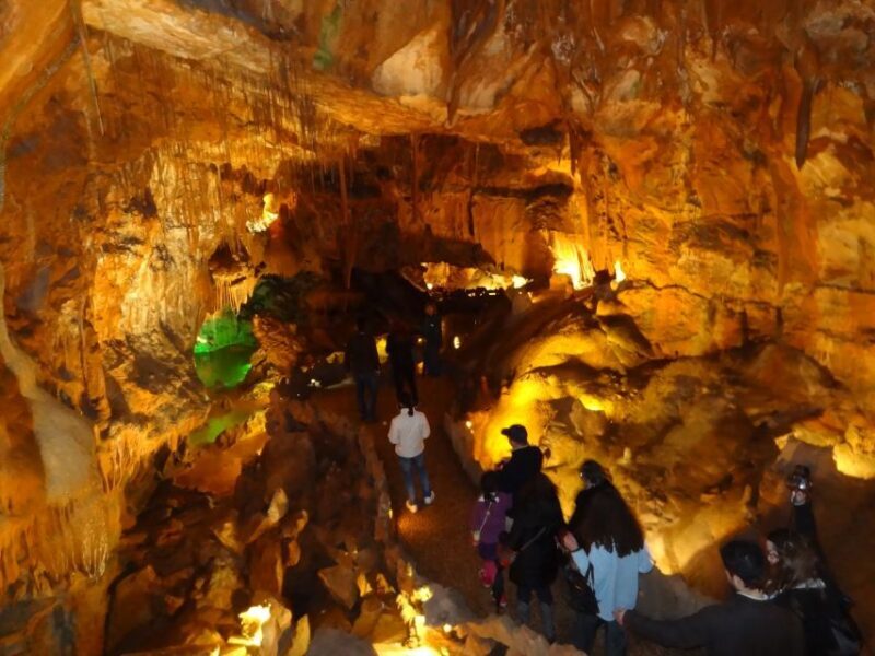 From Lisbon: Tomar Templar Full-Day Private Tour - Why the Convent of Christ Is a Must-Visit
