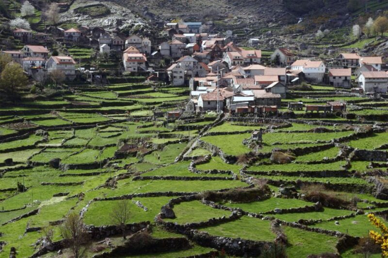 From Lisbon: Tomar Templar Full-Day Private Tour - Scenic Drive Back to Lisbon