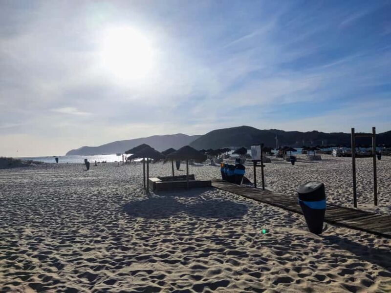 From Lisbon: Tróia and Bacalhoa winery museum with wine tasting. - The Itinerary and Experience