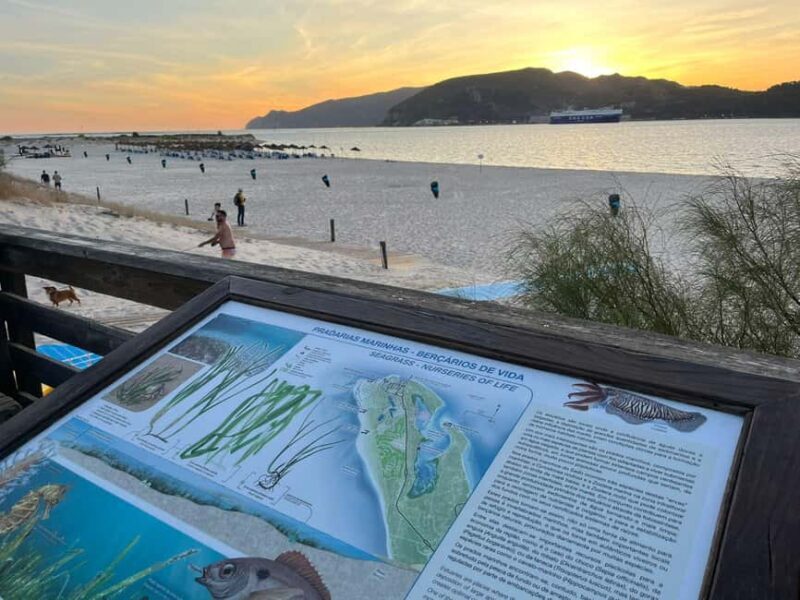 From Lisbon: Tróia and Bacalhoa winery museum with wine tasting. - Transportation & Group Size