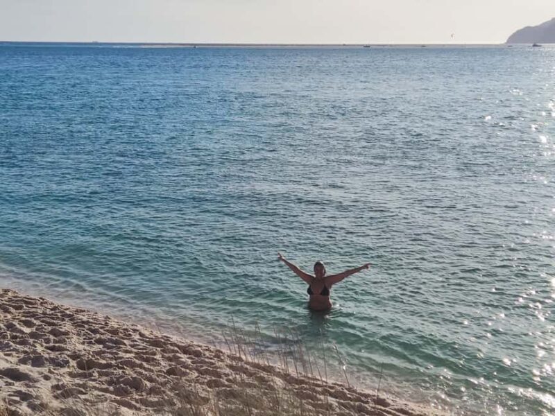 From Lisbon: Tróia and Bacalhoa winery museum with wine tasting. - Who Should Consider This Tour?