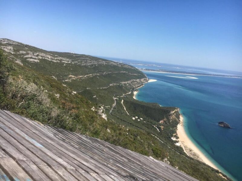 From Lisbon: Vicentine Coast Exploration - Who Will Love This Tour?